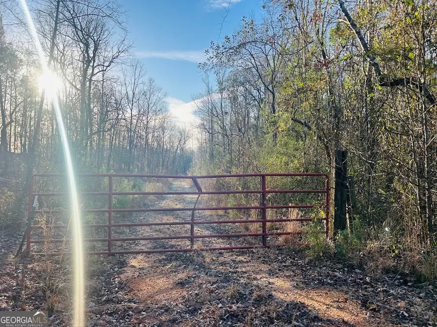 0 Bickley Road #TRACT A, Butler, GA 31006 - #2