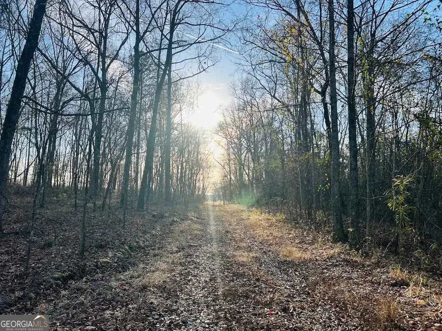 0 Bickley Road #TRACT A, Butler, GA 31006 - #3