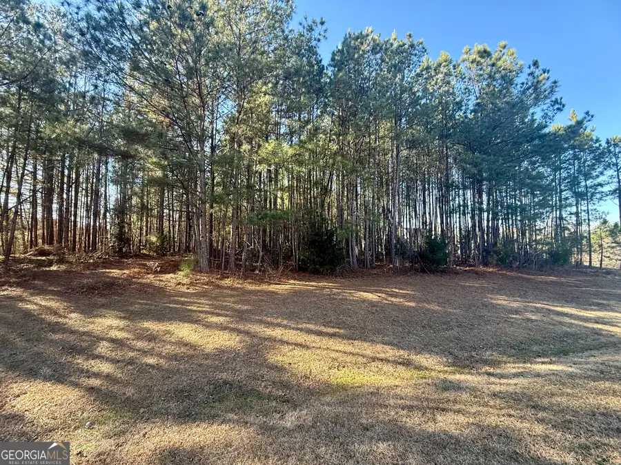 303 Freedom Drive, Forsyth, GA 31029 - #2