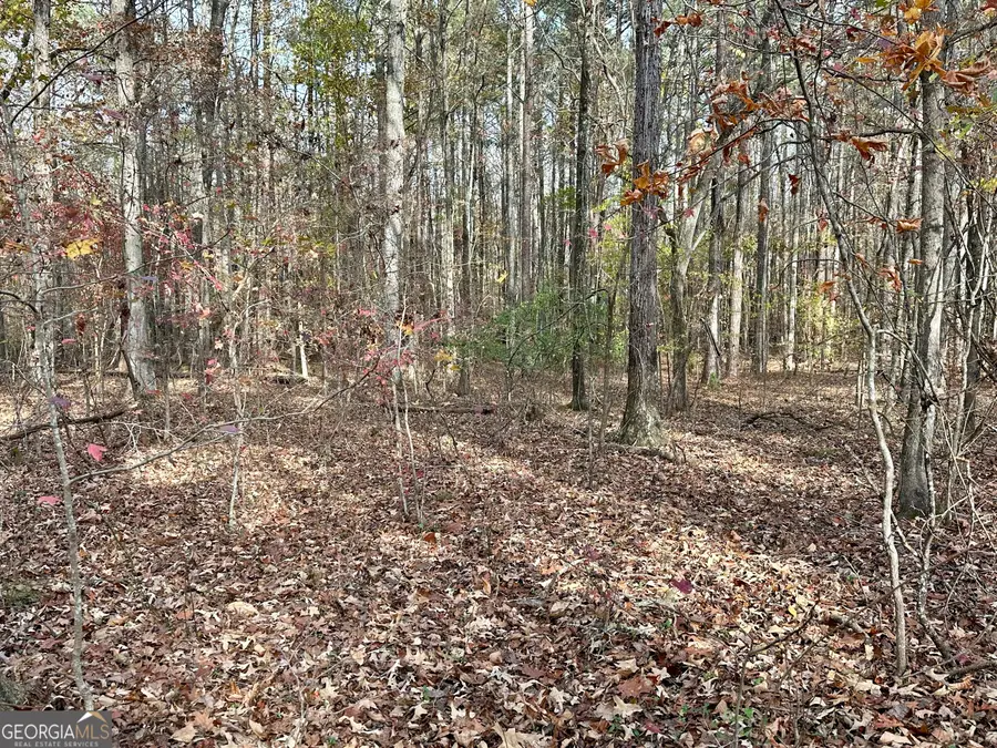 350 Antebellum Way, Fayetteville, GA 30215 - #3