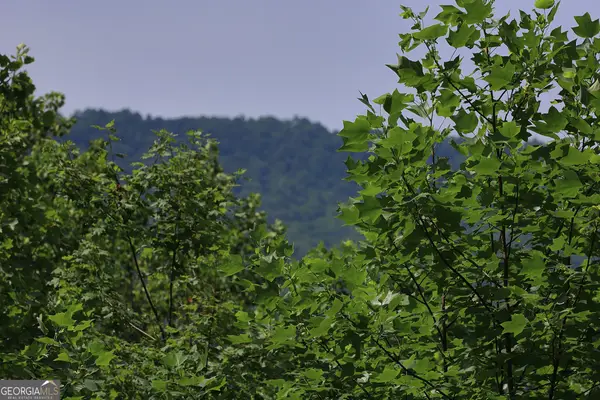 29 Cool Spring Lane, Clayton, GA 30525