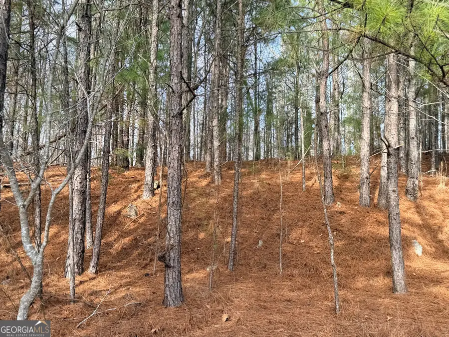 1573 Norris Lake Way, Snellville, GA 30039 - #2