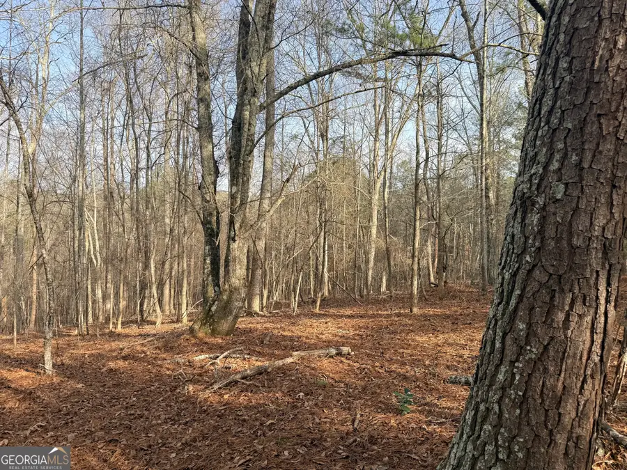 1573 Norris Lake Way, Snellville, GA 30039 - #3