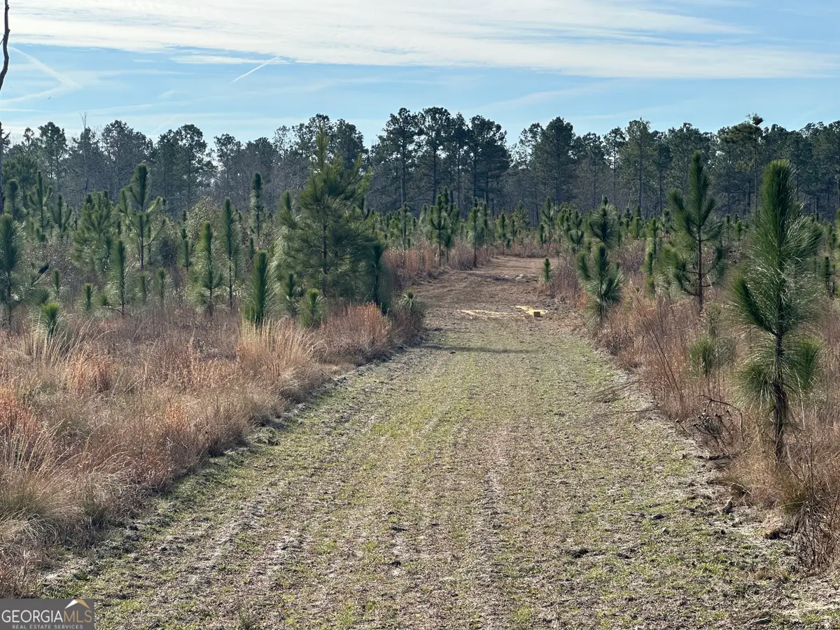 0 Shady Lane, Sylvania, GA 30467 - Image #1