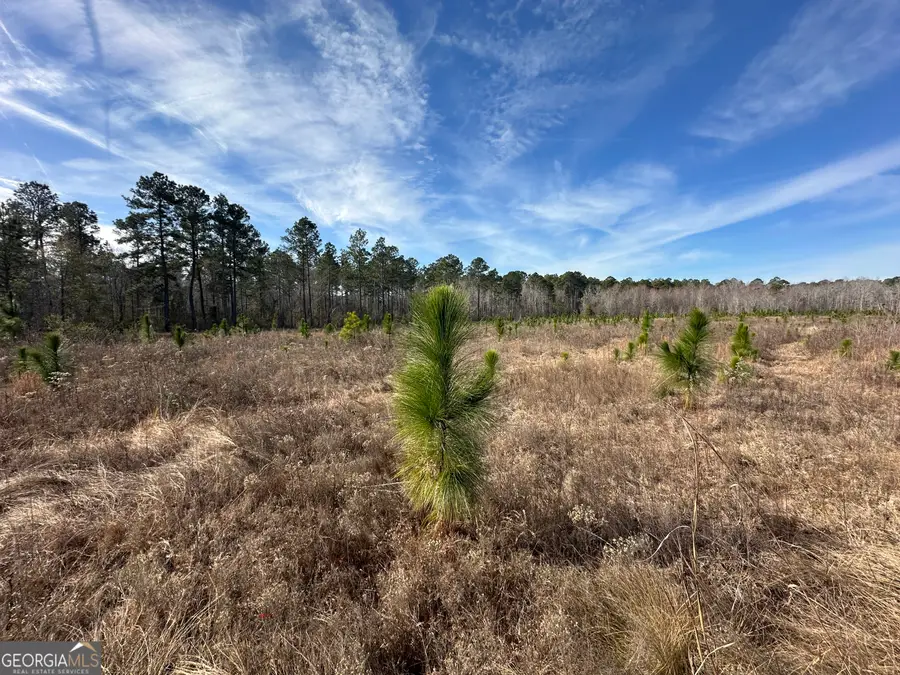 0 Shady Lane, Sylvania, GA 30467 - Image #2