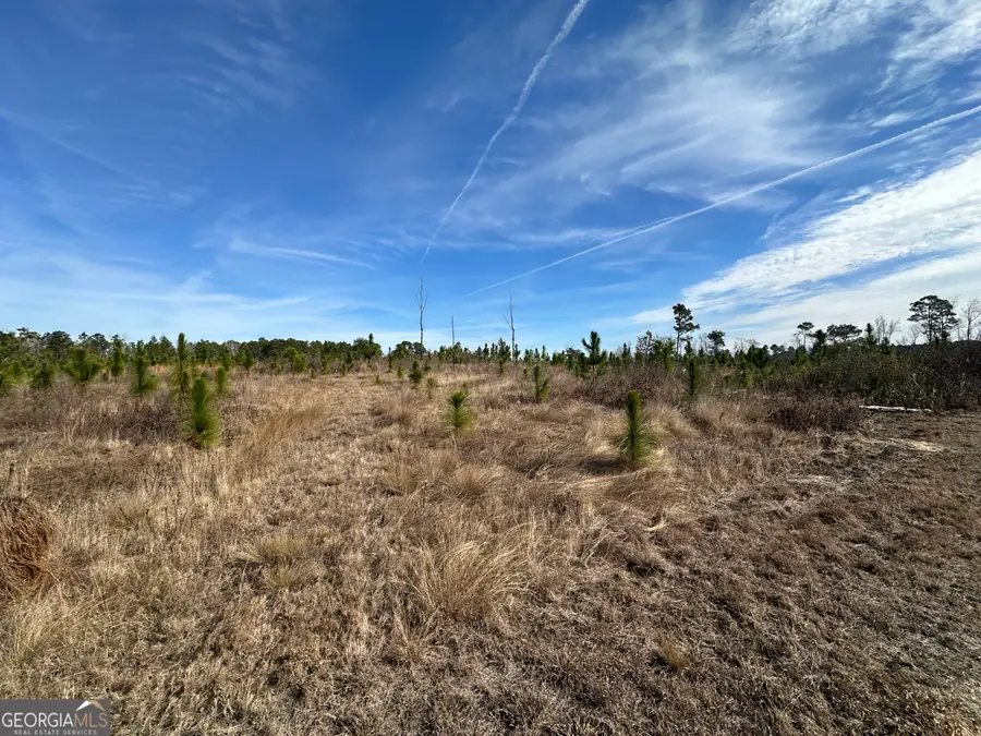 0 Shady Lane, Sylvania, GA 30467 - Image #3