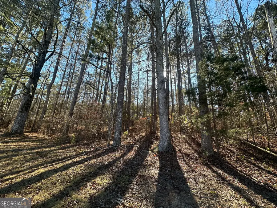 0 Hard Rock Road, Oxford, GA 30054 - Image #2