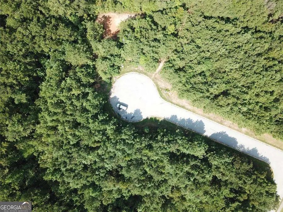 7699 Cheviot Drive, Winston, GA 30187 - #3