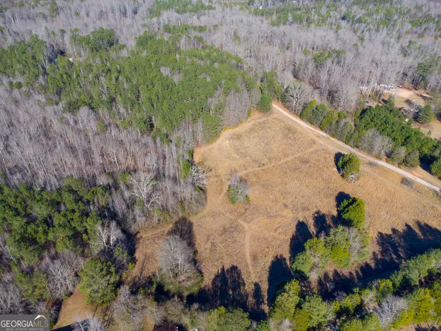 0 Levi Bradbury Road, Moreland, GA 30259 - #3