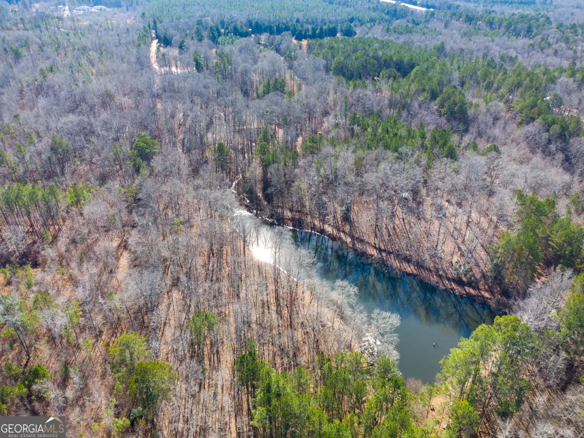 0 Levi Bradbury Road, Moreland, GA 30259 - #1