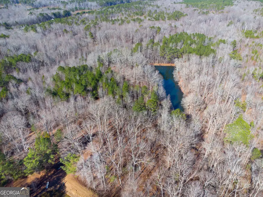 0 Levi Bradbury Road, Moreland, GA 30259 - #2