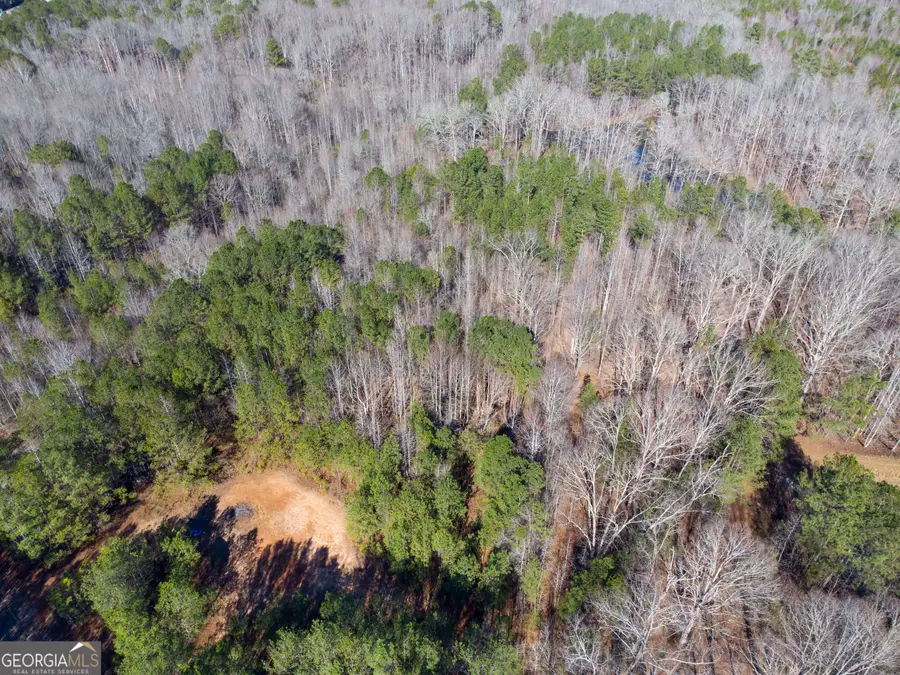 0 Levi Bradbury Road, Moreland, GA 30259 - #3