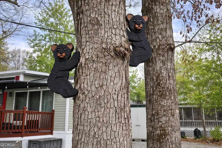 4 Evergreen Trail, Cleveland, GA 30528 - #2