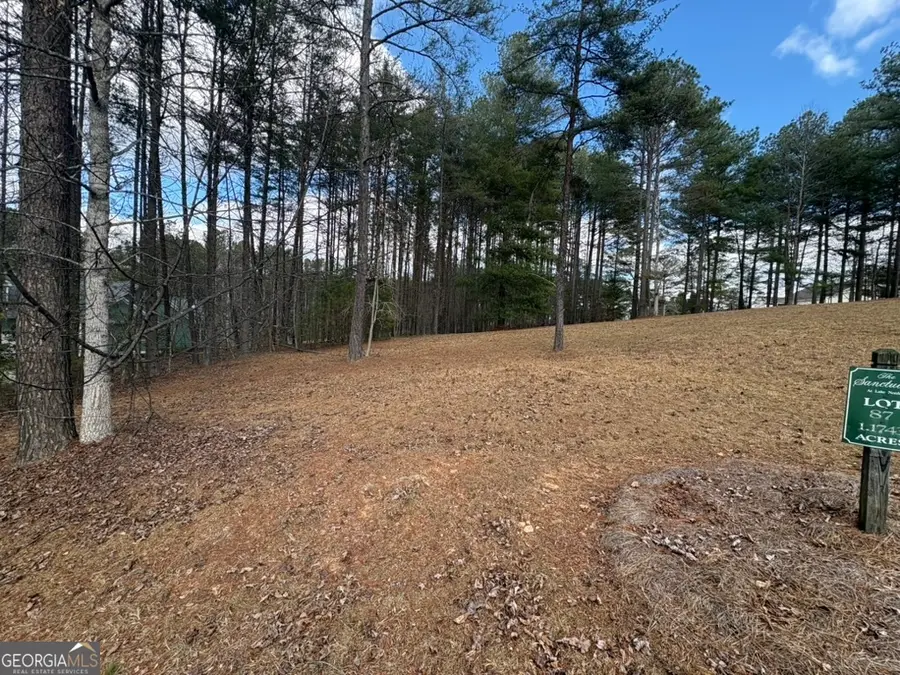 LOT 87 Creek Hollow Lane, Blairsville, GA 30512 - #2