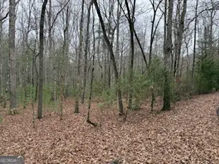 LOT 9 Peter Knob Road, Blue Ridge, GA 30513 - #2