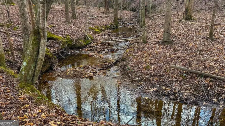 0 Thomas Street, Roopville, GA 30170 - Image #2