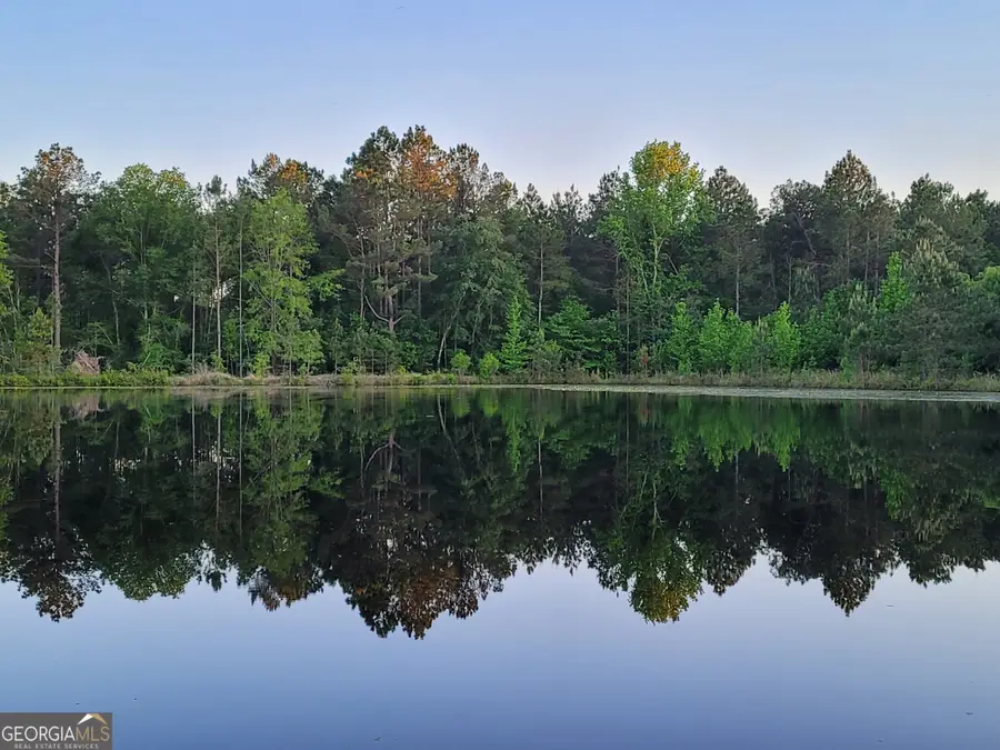 40 Drew Bennett Road, Midville, GA 30441 - Image #2