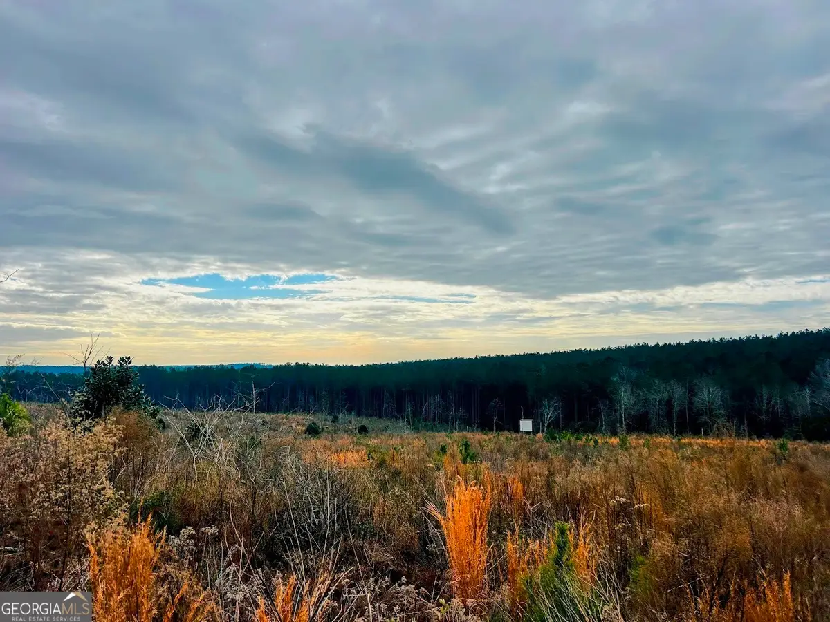 0 County Road 309 #TRACT A, Skipperville, AL 36374 - Image #1