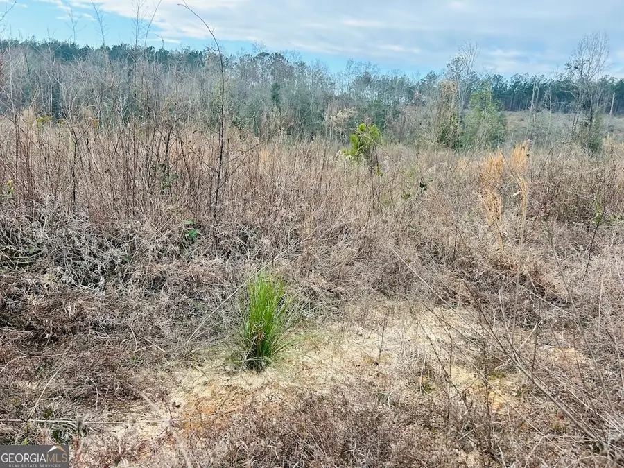 0 County Road 309 #TRACT A, Skipperville, AL 36374 - Image #2