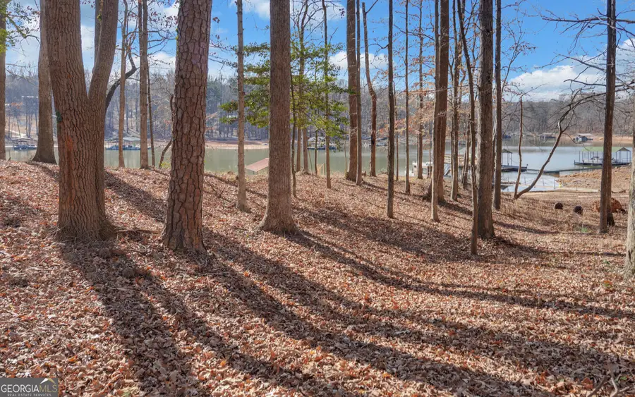 720 Knottywood Drive, Lavonia, GA 30553 - Image #2