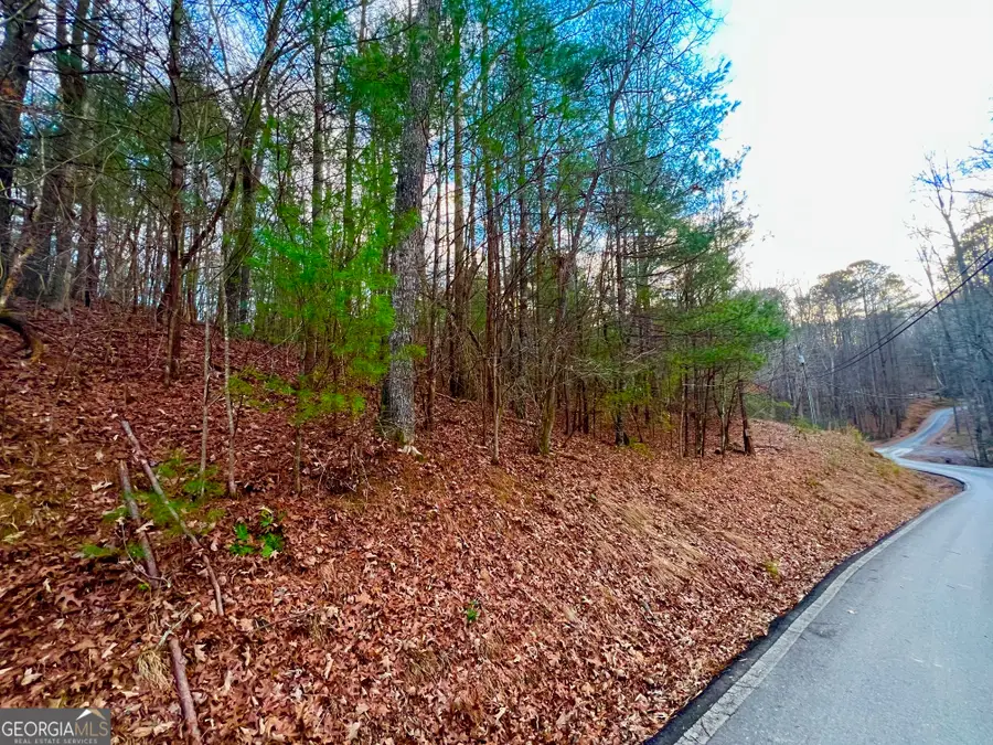 914 Villa Drive, Ellijay, GA 30540 - Image #2