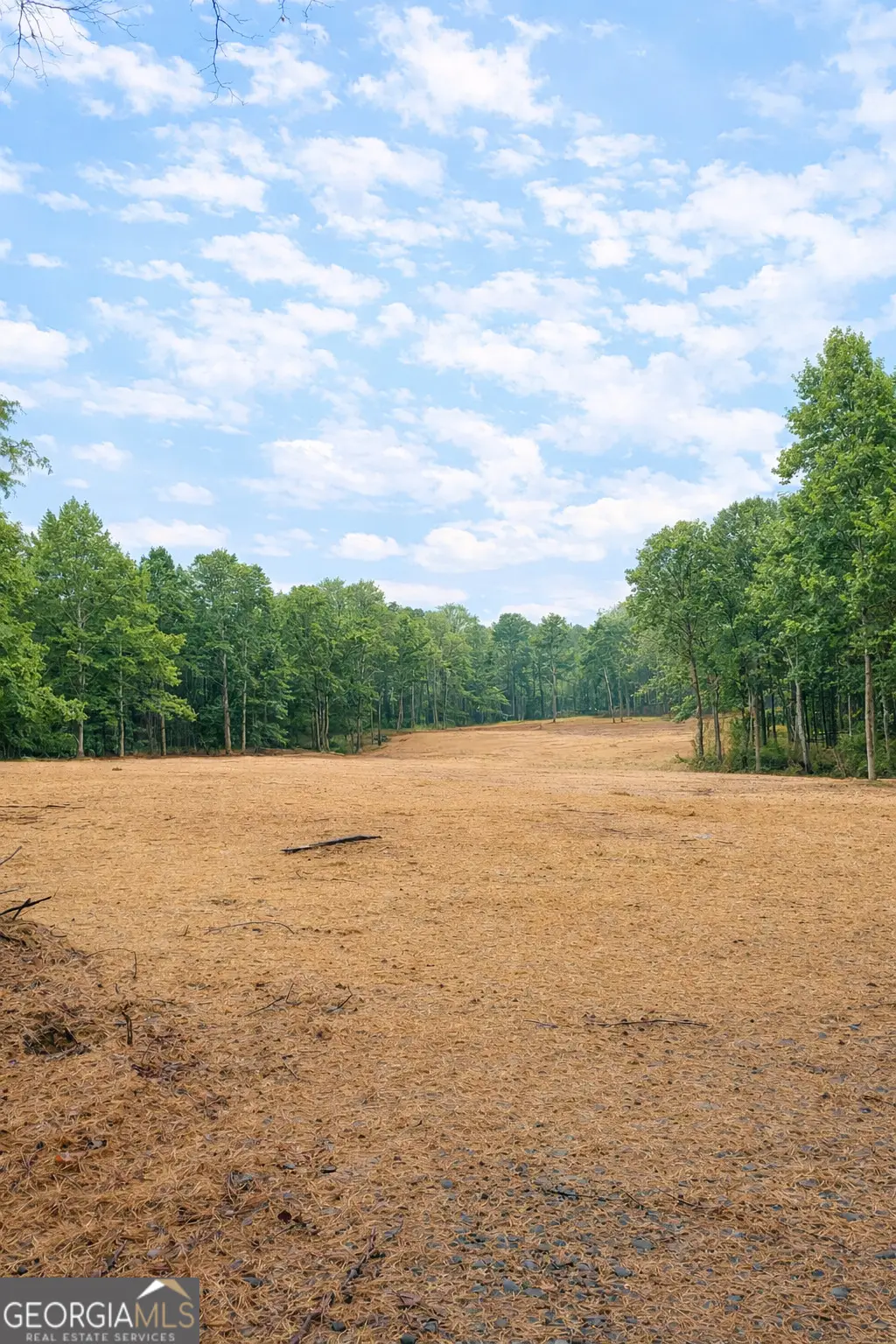 0 Hwy 155 Tract 2, Stockbridge, GA 30281 - #1