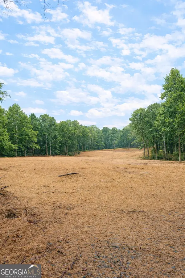 0 Hwy 155 Tract 2, Stockbridge, GA 30281