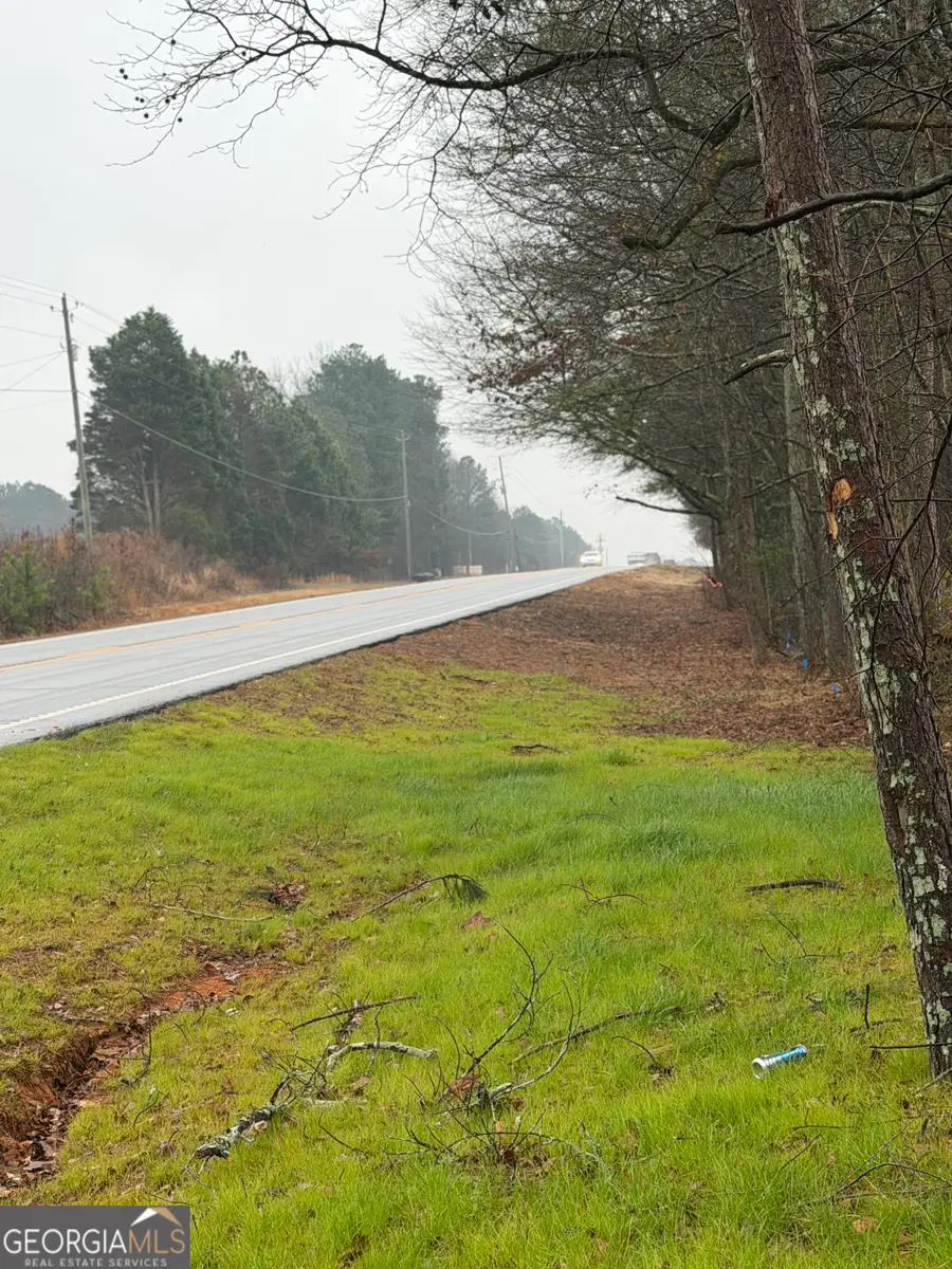 0 Hwy 155 Tract 2, Stockbridge, GA 30281 - #3