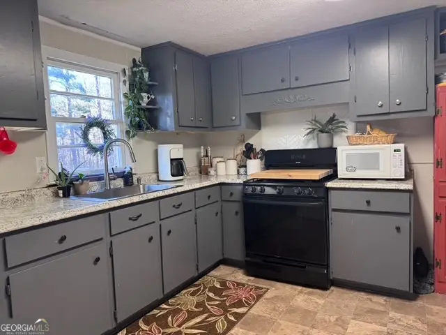 1335 Meadows Boone Road, Luthersville, GA 30251 - Image #3