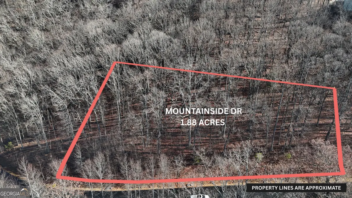 LOT 45 Mountainside Drive, Cleveland, GA 30528 - #1
