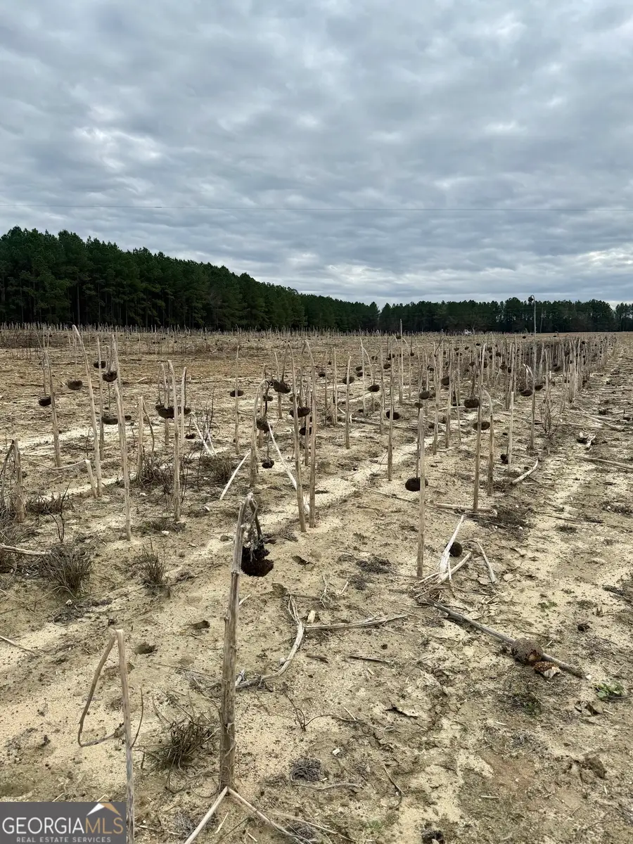 0 Davis Road, Dudley, GA 31022 - #3