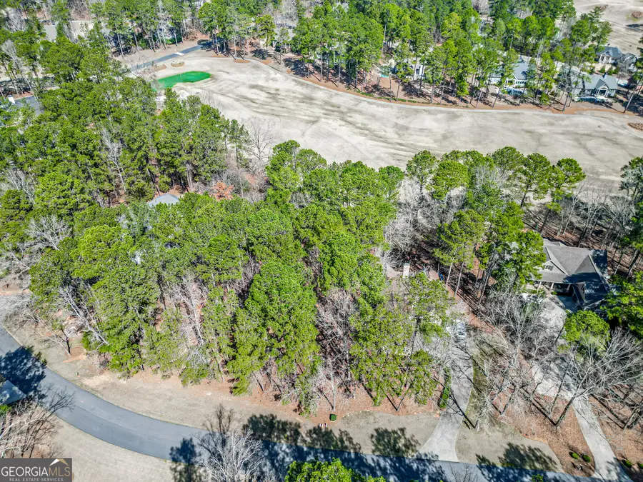 1050 Club Cove Drive #1050 CLUB COVE DRIVE, Greensboro, GA 30642 - #2