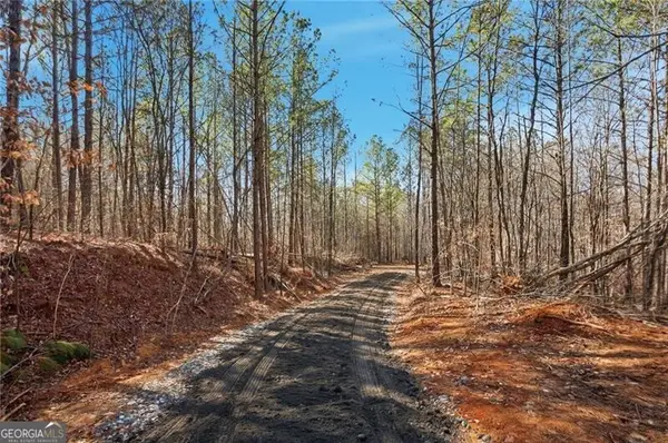 6.651 Acres On Orlando Path, Dallas, GA 30157
