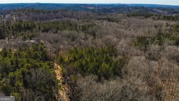 5.419 Acres On Pete Path, Dallas, GA 30157