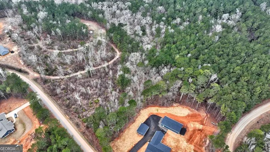 LOT 5 Cochran Road, Madison, GA 30650 - #2