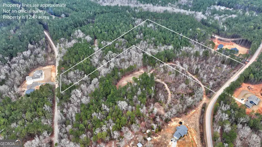 LOT 5 Cochran Road, Madison, GA 30650 - #3