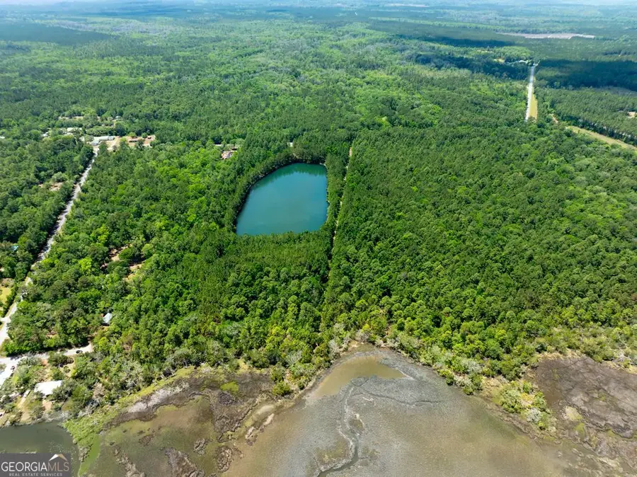 0 21 Acres Dover Bluff Road, Waverly, GA 31565 - #3