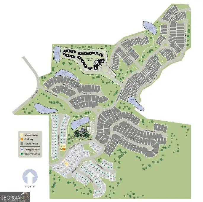 6380 Pinin Place, Cumming, GA 30041 - #3