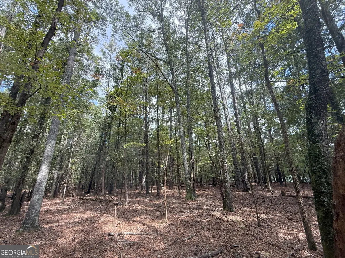 5 Jefferson River Road, Athens, GA 30607 - #1