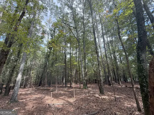 5 Jefferson River Road, Athens, GA 30607