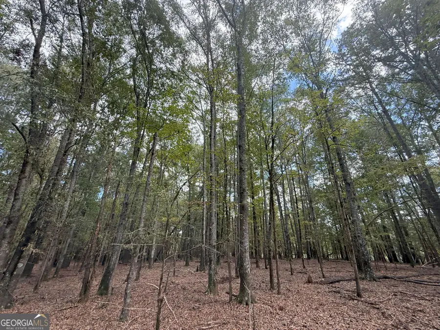 5 Jefferson River Road, Athens, GA 30607 - #2