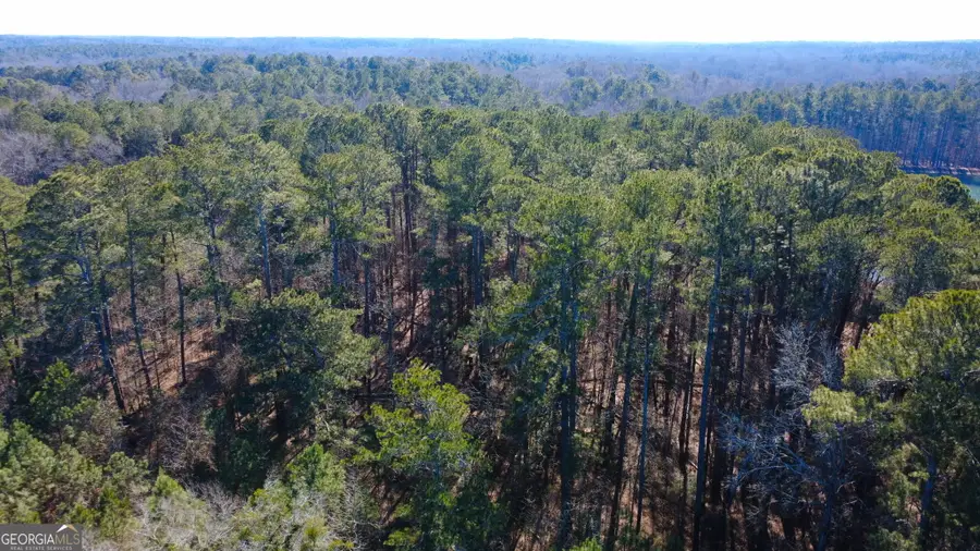 1024 Highway 54 W, Fayetteville, GA 30214 - #3