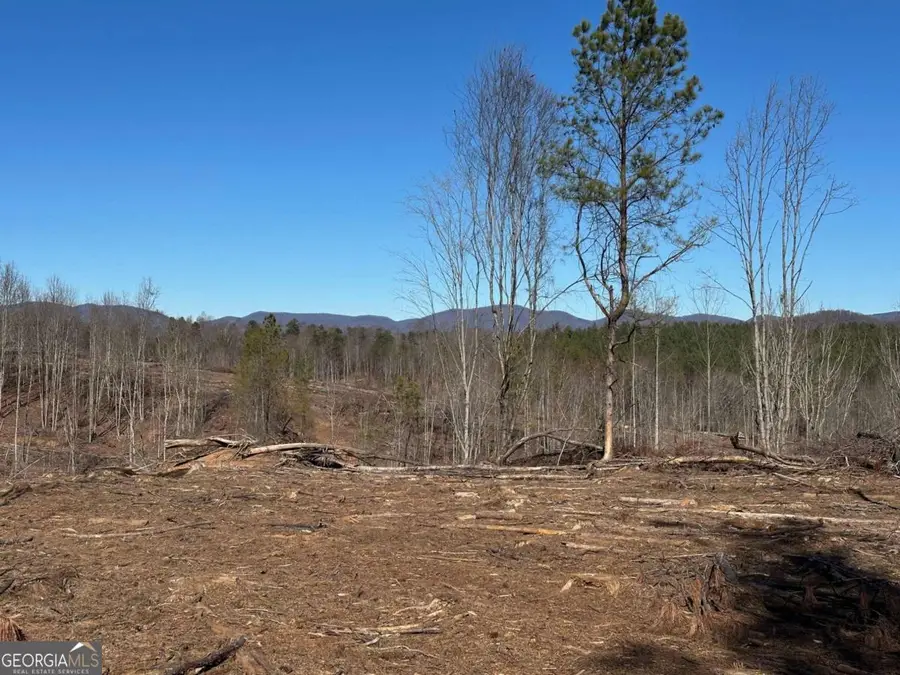 475 Larmon Forks Road, Dahlonega, GA 30533 - #3