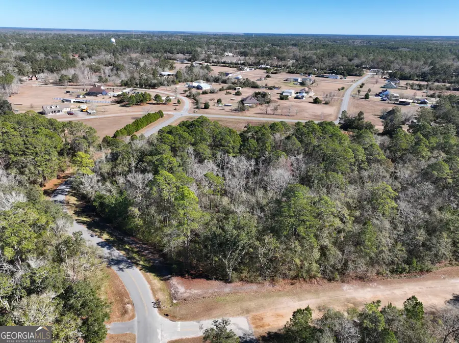 0 Pine Bluff Court, Woodbine, GA 31569 - Image #2