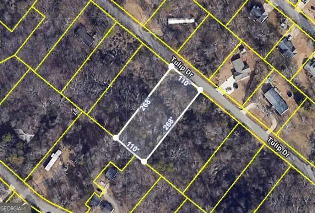 1828 Tulip Drive, Gainesville, GA 30507 - #1