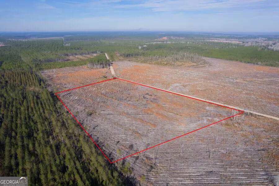 TRACT 5 Morris Break Road, Odum, GA 31555 - #3