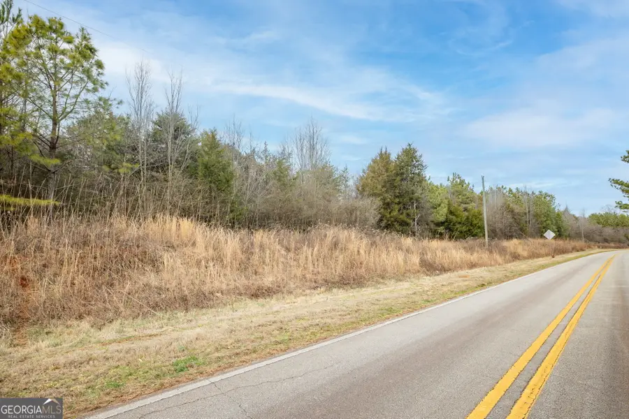 740 Broad River Church Rd Tract F, Eastanollee, GA 30538 - #3