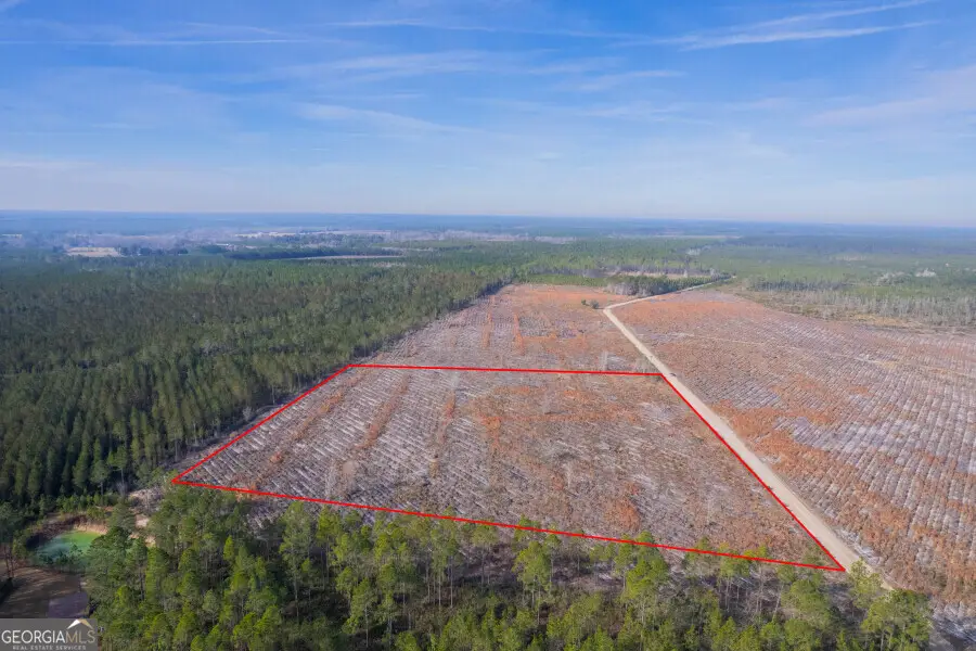 TRACT 6 Morris Break Road, Odum, GA 31555 - #1