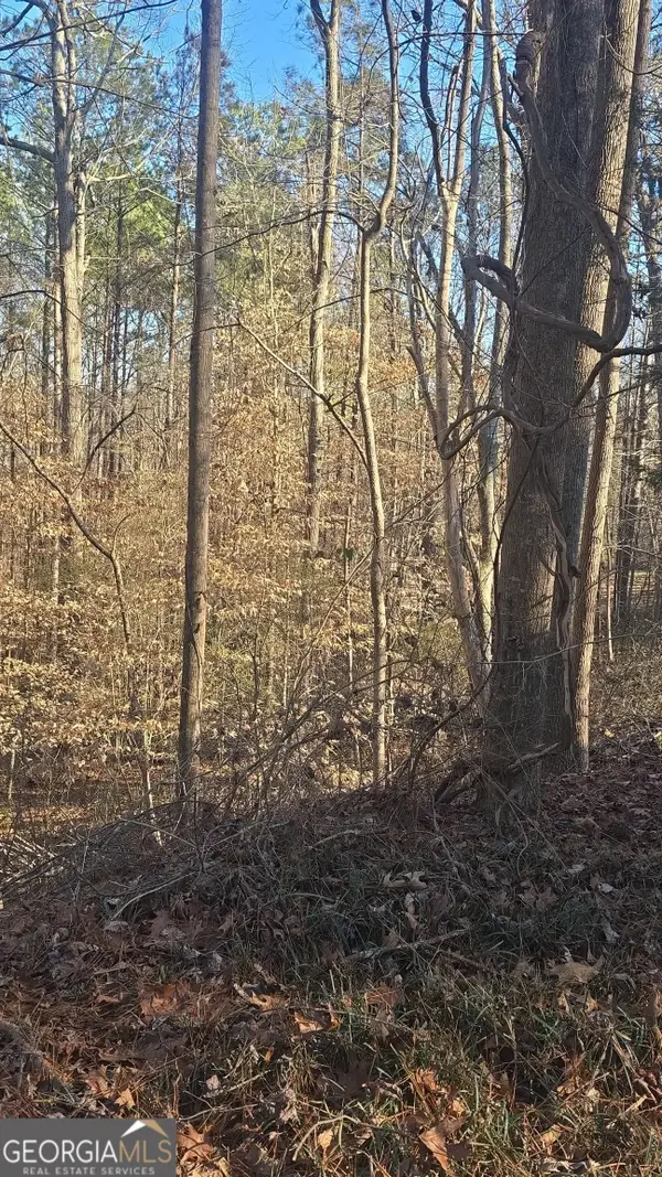 4440 Susans Way, Snellville, GA 30039