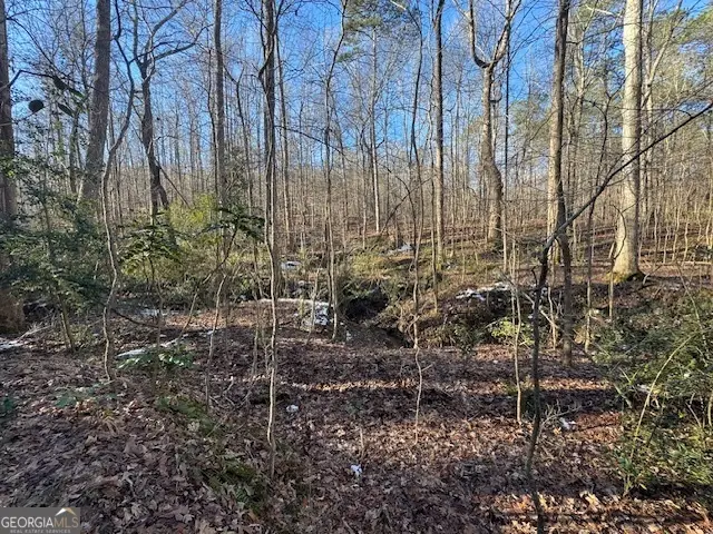 2581 Union Church Road Sw, Stockbridge, GA 30281 - #2